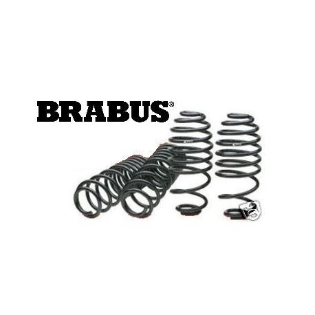 Resortes Brabus de rebaje Smart Fortwo 451