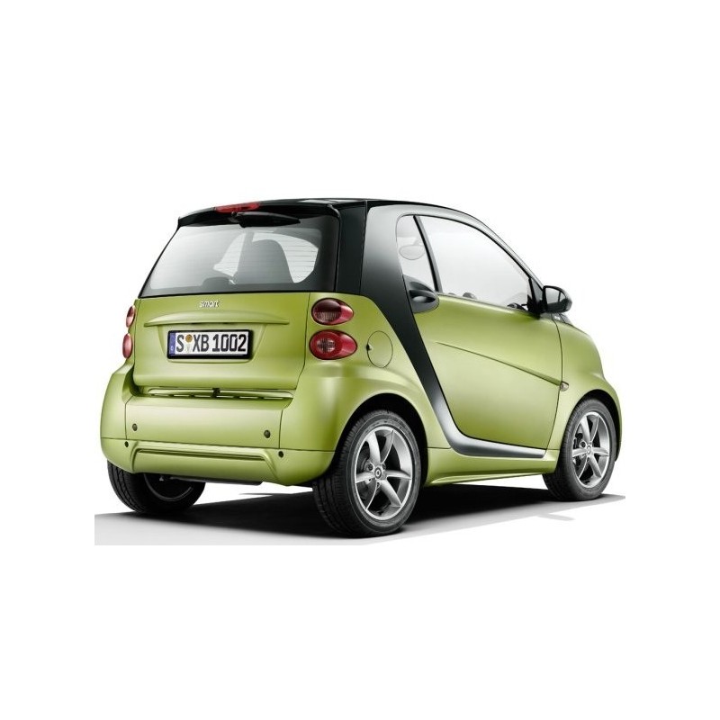 Grembialatura Posteriore Colorata My12 ForTwo 451 - SmartKits SKs