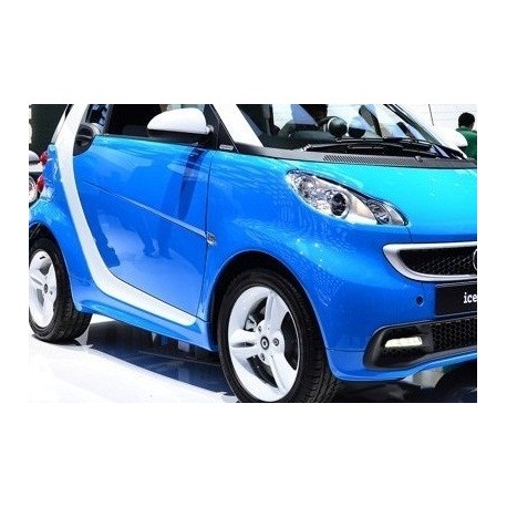 Minigonne My12 Smart ForTwo 451