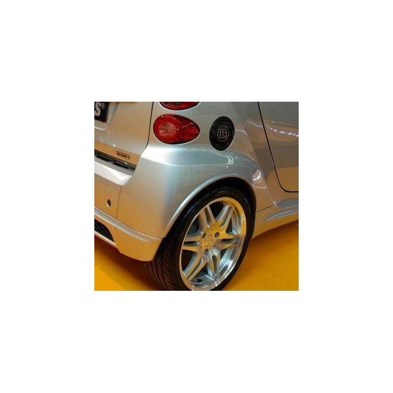 Minigonne Smart Fortwo 451