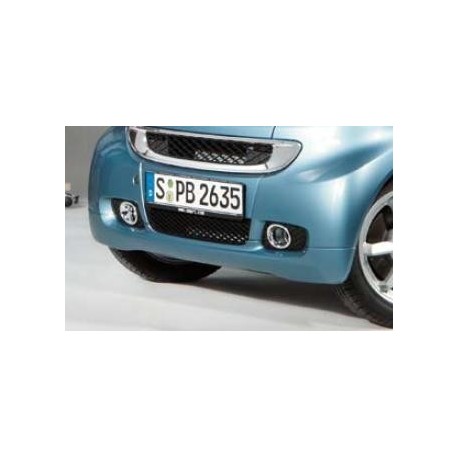 Colored Front spoiler Smart ForTwo 451