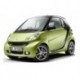 Colored Front spoiler Pulse ForTwo 451