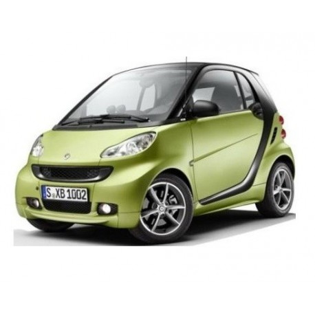 Colored Front spoiler Pulse ForTwo 451