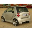Spoiler Tetto S-mann per Smart 451 Coupe o Cabrio, Look Sportivo