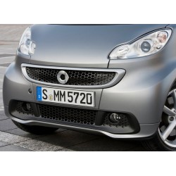 Mascherina Radiatore Bassa My12 ForTwo 451