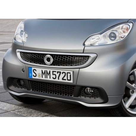 Ornamental Grille Bottom My12 ForTwo 451