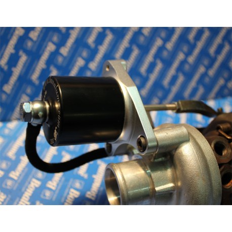 Wastegate Smart 451