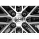 Brabus Silver Wheel Cap Smart ForTwo ForFour 453