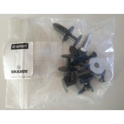 Montaje de elementos de lado kit Smart ForTwo 450