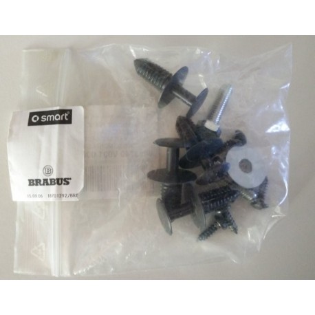 Montaje de elementos de lado kit Smart ForTwo 450