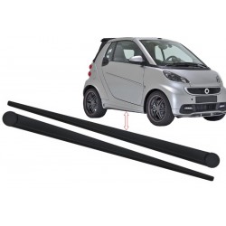 Zeirleiste ForTwo 451