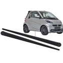 Moulding ForTwo 451