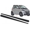 Listelli Decorativo ForTwo 451