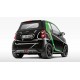 Modura Saliente BRABUS Difusor trasero BRABUS ForTwo 451 My12