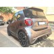 SmartKits Tubo de escape central triple ForTwo 453
