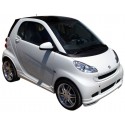 Lichter Smart ForTwo 451