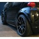 Fenders-Profiles ForTwo 451