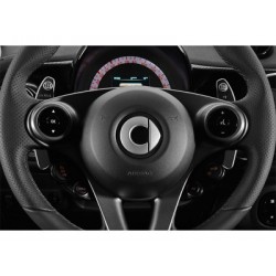 BRABUS Paddel-Rad-Mounted Smart