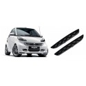 Griglia decorativa Spoiler Smart ForTwo 451