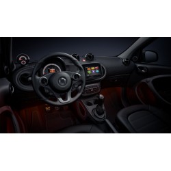 Luci soffuse Smart ForFour 453