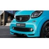 Brabus Logo Frente 453
