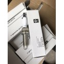 Spark plugs Smart 453