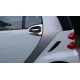 Chrome package External handle Smart ForTwo 450