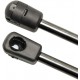 Muelle de gas Smart Roadster 452