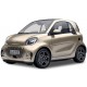 Cofano Anteriore Smart ForTwo 453