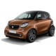 Stossfaenger Vorder ForTwo 453