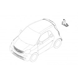 Plate Light Smart Roadster 452