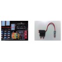 Modulo Finestrini Smart ForTwo 450 Prima 2003