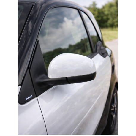 Door mirror caps ForTwo 453