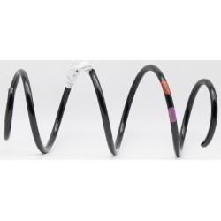 Pata Telescopica Delantero ForTwo 451