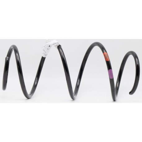 Pata Telescopica Delantero ForTwo 451