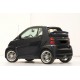 Doppelrohr-Sportauspuff Smart Fortwo 451 - Eur4 (2007-2009)