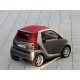 Doppelrohr-Sportauspuff Smart Fortwo 451 - Eur4 (2007-2009)