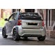 Doppelrohr-Sportauspuff Smart Fortwo 451 - Eur5 (2010-2015)