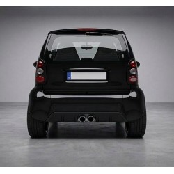 Diffusore posteriore SKs ForTwo 450