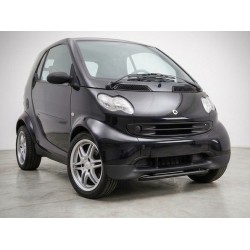 Unter Frontspoiler ForTwo