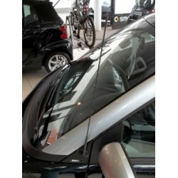 Antenne Smart Fortwo 450 451: Perfekter Empfang