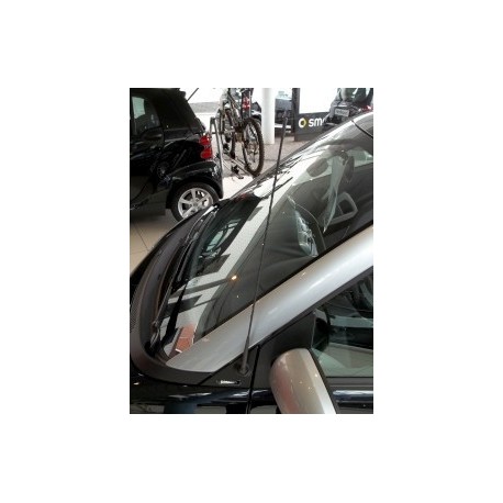 Antenna Smart ForTwo 450 451: Perfect Reception